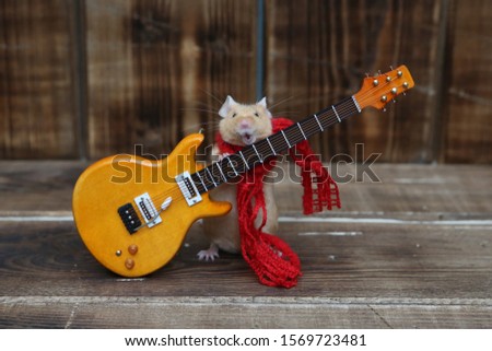 Сute mouse plays guitar, sings. Fun pet fond of music. Talented animal: home musician. Musical mouse celebrate. Mouse rock star on stage gives concert. Postcard with mouse. Talent, song. Celebration