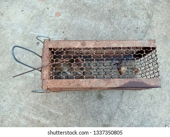 Mouse Trap Cage