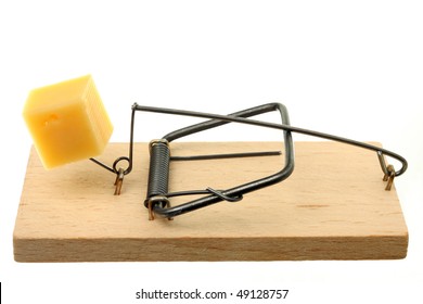 Mouse Trap With Cheese