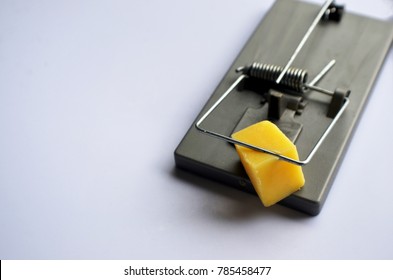 Mouse Trap With Cheese