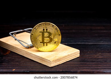 Mousetrap with bitcoin coin. Souvenir bitcoin coin in the form of bait.