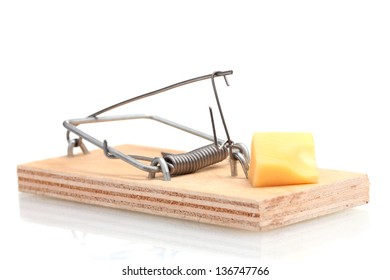 Premium Vector  Mouse trap with cheese isolated on white