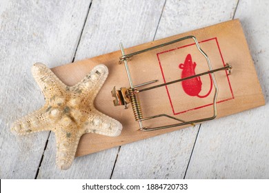 Mousetrap And Starfish Shell. Holidays In Exotic Countries Can Be A Dangerous Financial Loophole. Light Background.