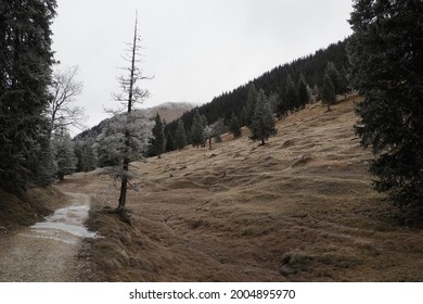 Ochsenälpeskopf Moutain Top In The Ammertal