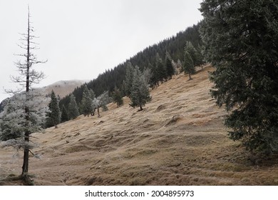 Ochsenälpeskopf Moutain Top In The Ammertal