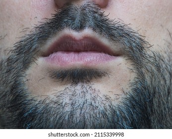 3,335 Close cropped beard Images, Stock Photos & Vectors | Shutterstock