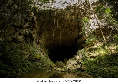 Mouth Of The Giant Rio Frio Cave At Mountain Pine Ridge, Belize