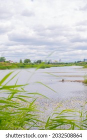 The Mouth Of The Ishim River In Kazakhstan