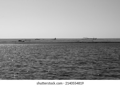 The Mouth Of The Serchio River