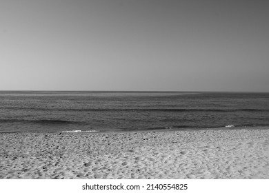 The Mouth Of The Serchio River