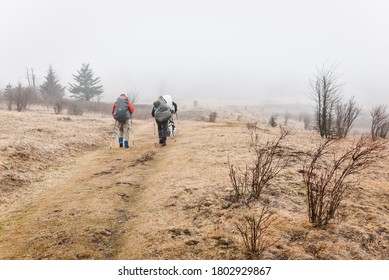 Mouth Of Wilson, VA/USA - 2/11/2017: Foggy Hiking On The Appalachian Trail 