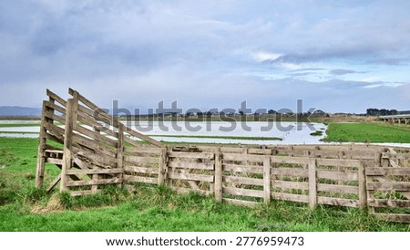 Moutoa Floodway in the background of this loading stock ramp.