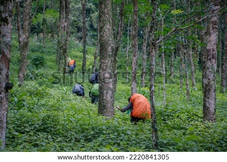 Move forward into the deep forest. Tai Rom Yen National Park in Surat Thani Thailand