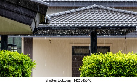 Movement Of Rain Drops And Rain Drops On The Fence Of The House.Out Of Focus On Raining.