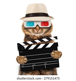 Movie Director Cat With A Clapperboard 