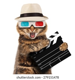 Movie Director Cat With A Clapperboard 