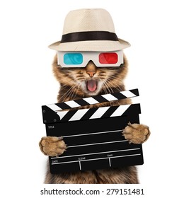 Movie Director Cat With A Clapperboard 