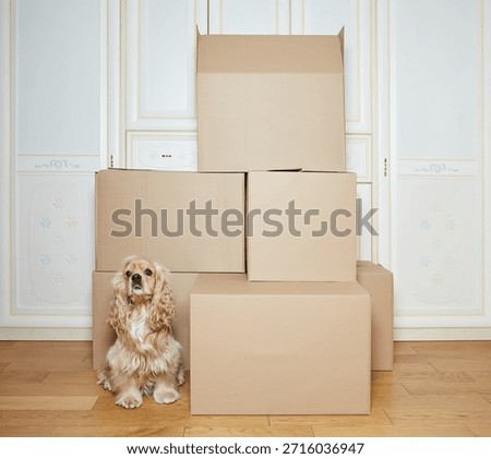 moving boxes. cardboard box. stack of boxes