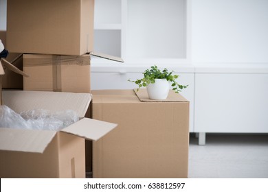 Moving Boxes In Empty Room