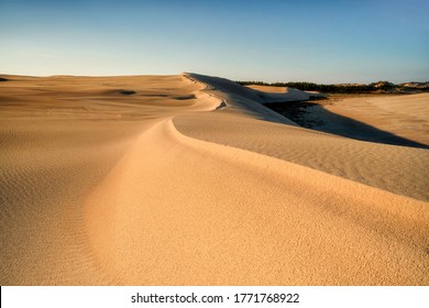 Moving dunes, Slowinski National Park, Poland, Leba
