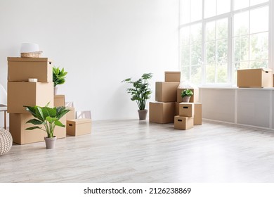 Moving To New Own Apartment, Renting House, Buying Real Estate And Relocation. Packed Cardboard Boxes With Belongings And Potted Plants On Floor And Window In Light Room Interior, Nobody, Copy Space