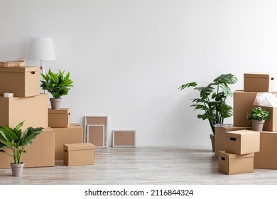 Moving To Own Home, Rent Apartment, Buy New Property And Blog About Real Estate, Copy Space. House Ad And Sale. Cardboard Boxes With Stuff, Plants In Pots In Empty Room On Gray Wall Background In Flat