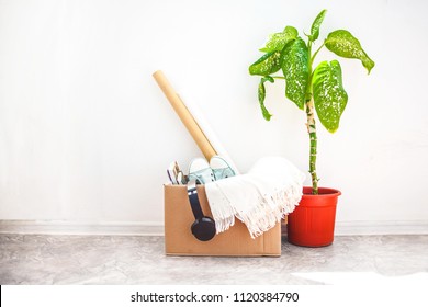 moving  things in boxes  garage sale  flower in pot white background Copy space