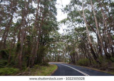 Moving through forest, car view of road with high speed motion blur effect