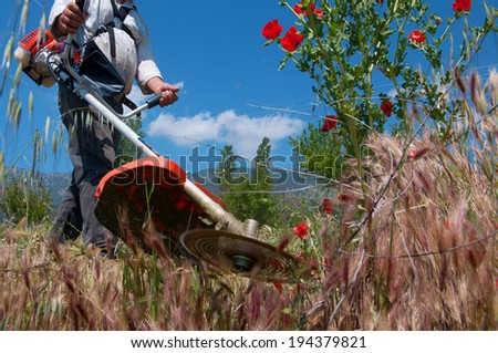 Mow grass