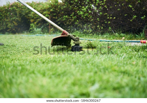 Mow grass in
garden with trimmer, petrol
cutter