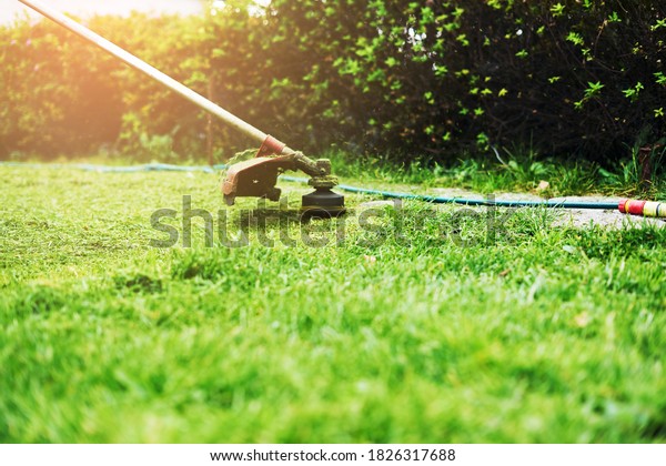 Mow lawn in garden,\
grass