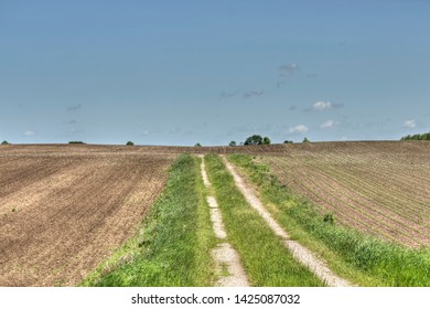 A Mowed Driveway To A Vacant Property, Surrounded By Farmland.