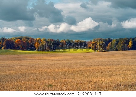 Mowed field against the background of autumn forest and rural house in cloudy weather with clouds in Latvia