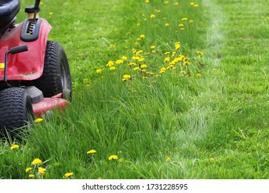 Mowing Or Cutting The Long Grass With A Lawn Mower . Gardening Concept Background .