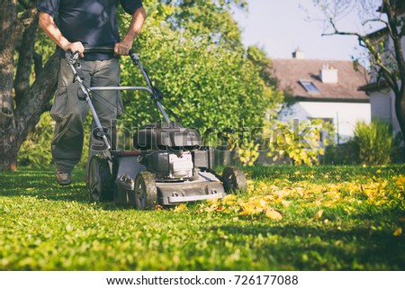 Mowing the grass with a lawn mower in early autumn. Gardener cuts the lawn in the garden. 