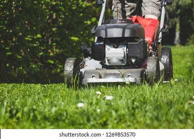Mowing the grass with a lawn mower in garden at spring. Mowing lawn at sunny day.