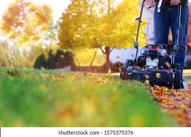 Mowing the grass with a lawn mower in sunny autumn. Gardener cuts the lawn in the garden - Shutterstock ID 1575375376