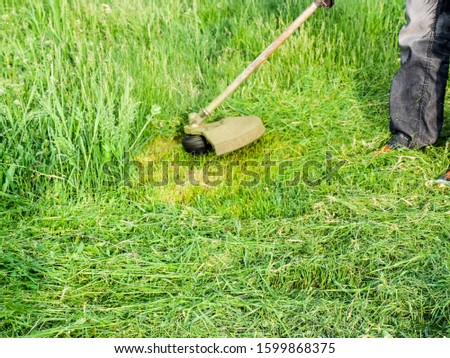 Mowing green grass using a fishing line trimmer. Application trimmers.