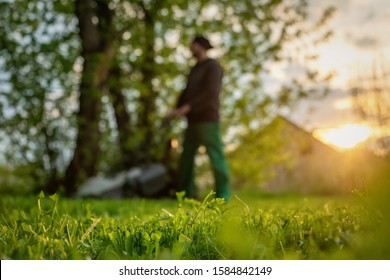 Mowing The Lawn With A Lawn Mower In The Backyard. Work In The Yard In The Early Sunny Morning Or Evening