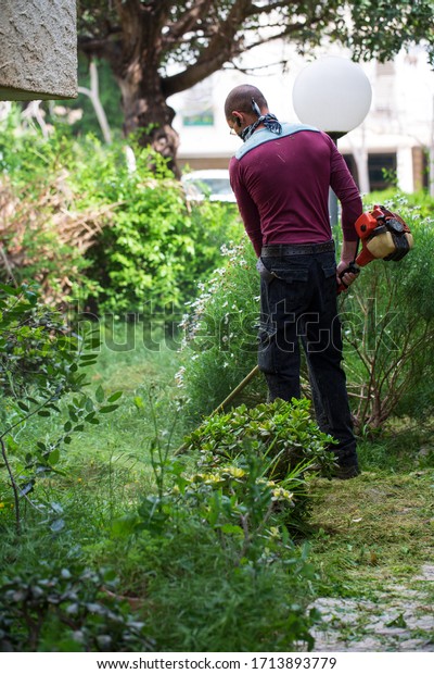 mowing trimmer - worker cutting\
grass in green. Cutting Trees Services in the City. Grass Trimmer\
Works. Gardening with a brush cutter. Lawn care with brush\
cutters.
