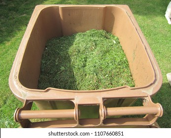 Mown Grass Cuttings In A Brown Garden Waste Bin