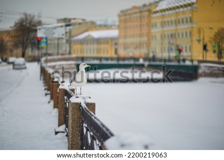 Moyka river embankment on a cold snowy winter day in Saint Petersburg, Russia