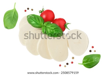 Mozzarella cheese sliced with basil leaf and tomato isolated on white background . Top view. Flat lay