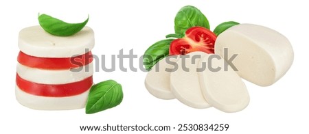 Mozzarella cheese sliced with basil leaf and tomato isolated on white background with full depth of field