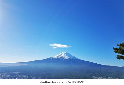 Mr.Fuji 