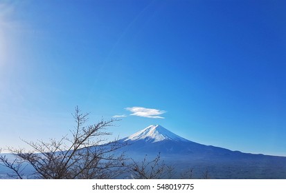 Mr.Fuji 