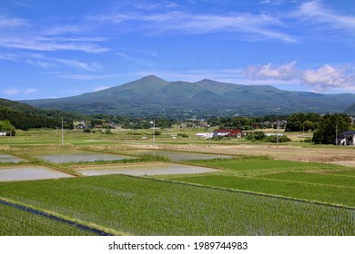 Mt Adatara Rice Fields Spring Fukushima Stock Photo 1989744983 ...