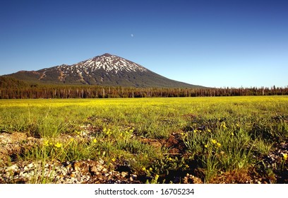 Mt Bachelor