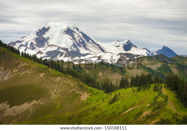 Mt. Baker, Washington, USA. The wildflowers along the\
Skyline Divide trail are spectacular during the month of August.\
Mt. Baker is located in the Pacific Northwest and is part of the\
North Cascade. 