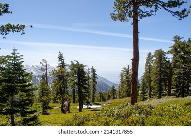 Mt. Baldy Hike In Angeles National Forest